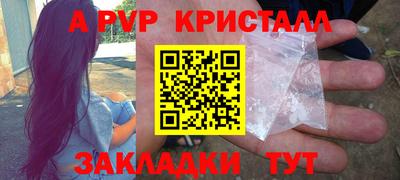 дживик Кингисепп
