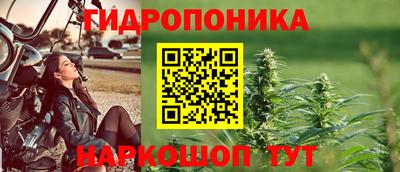 скорость Кинель