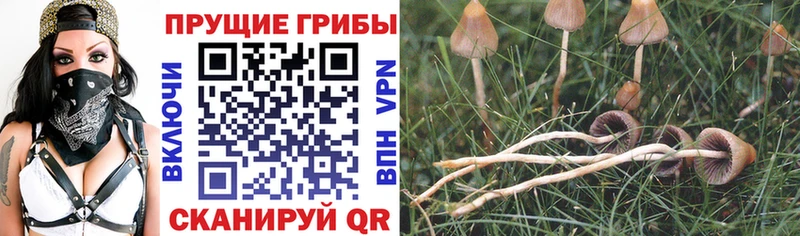 Галлюциногенные грибы ЛСД  цены   Когалым 