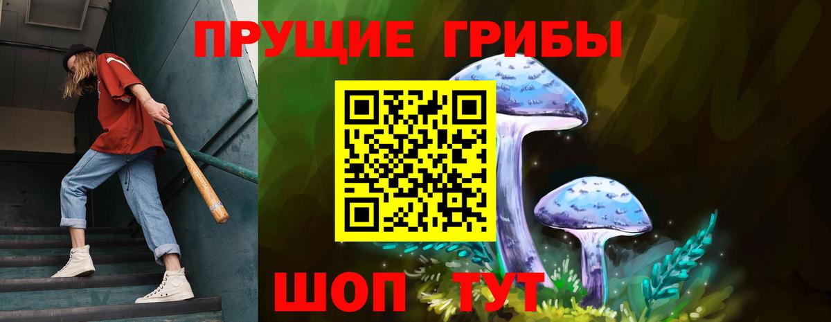 Псилоцибиновые грибы прущие грибы  Вход с VPN  Когалым 