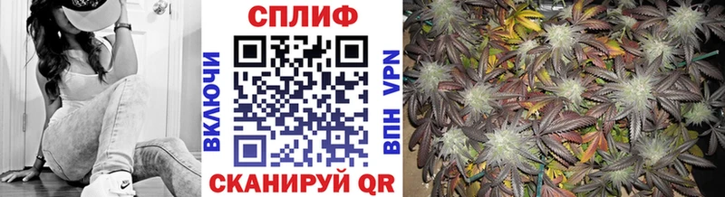 дарнет шоп  Когалым  МАРИХУАНА SATIVA & INDICA 